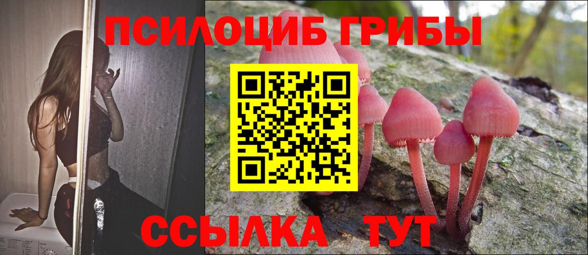 что такое   Вход с VPN  Новороссийск  Псилоцибиновые грибы Psilocybe 