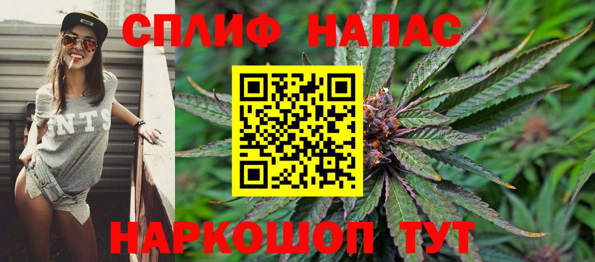 Бошки Шишки MAZAR Новороссийск